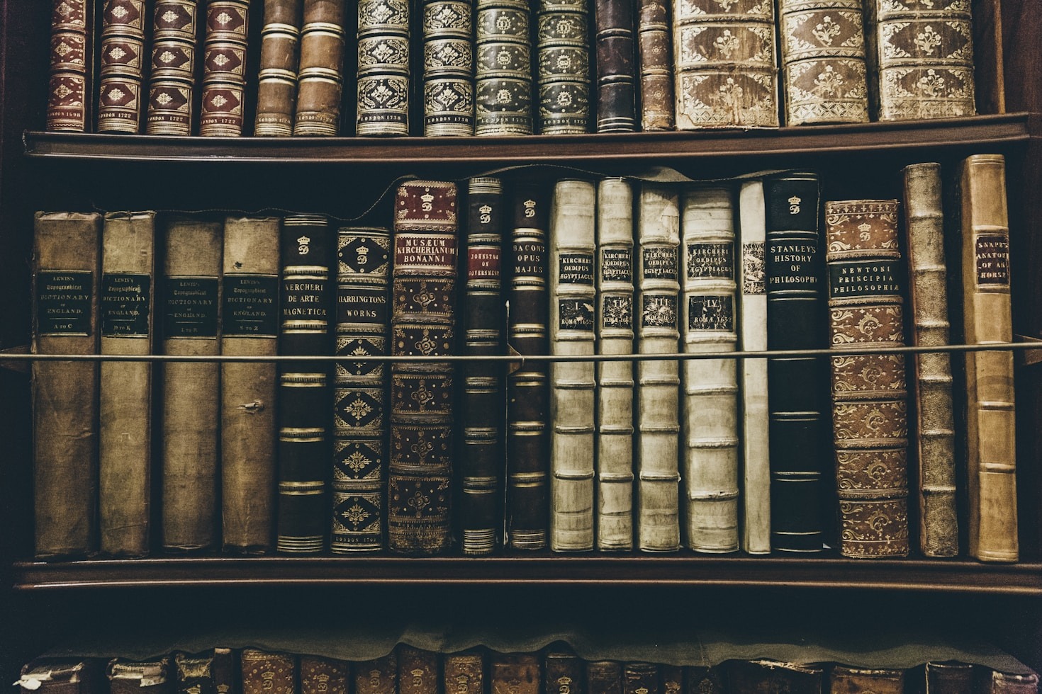 How Publishing Shapes Culture and Society